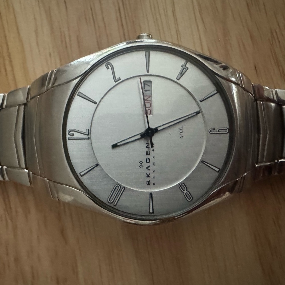 Skagen Denmark stainless steel Watch with Day-Date Display